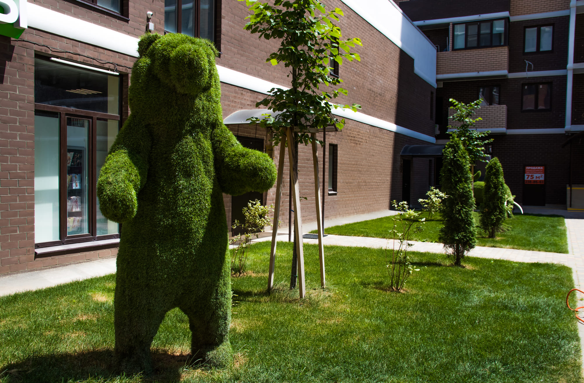 Галерея  ЖК Победа 6