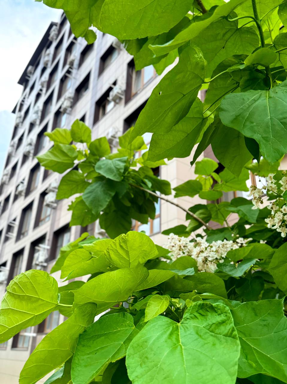 Галерея  ЖК Мега-Победа 7