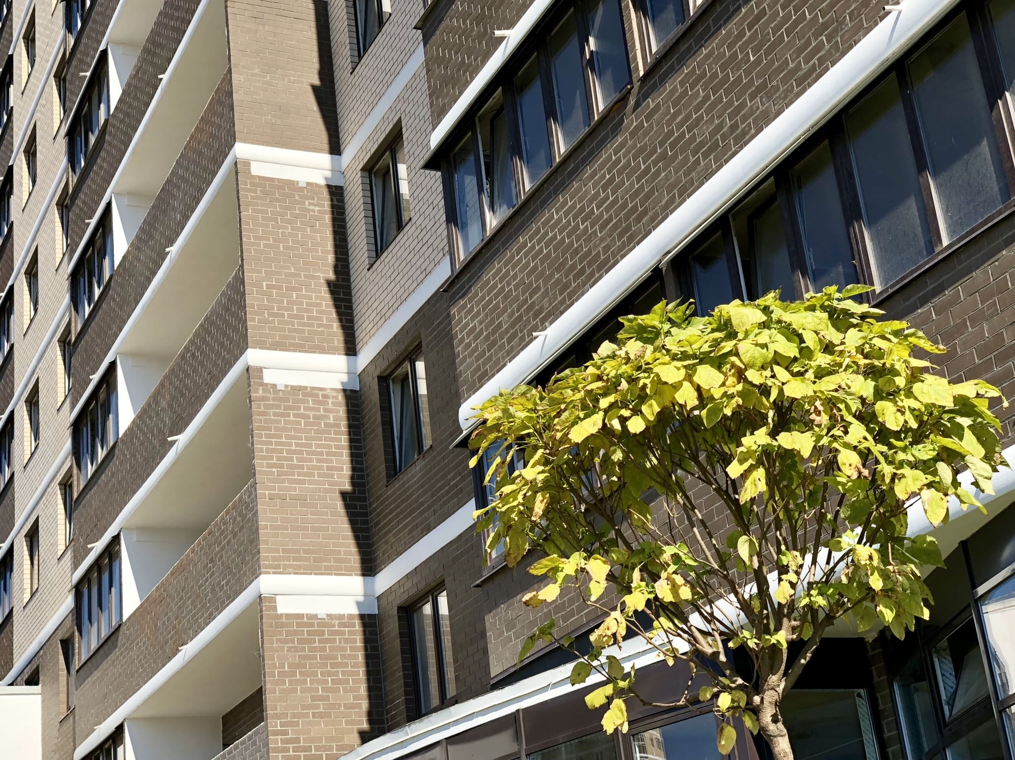 Галерея  ЖК Победа 2 очередь 21