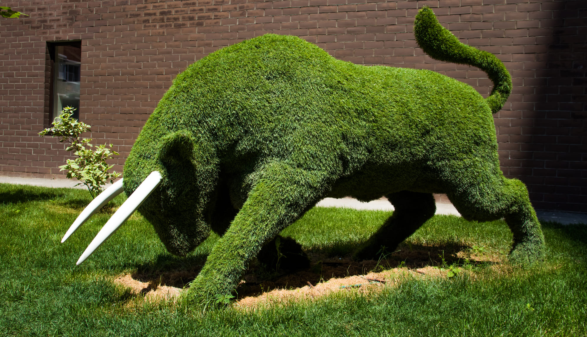 Галерея  ЖК Победа 5