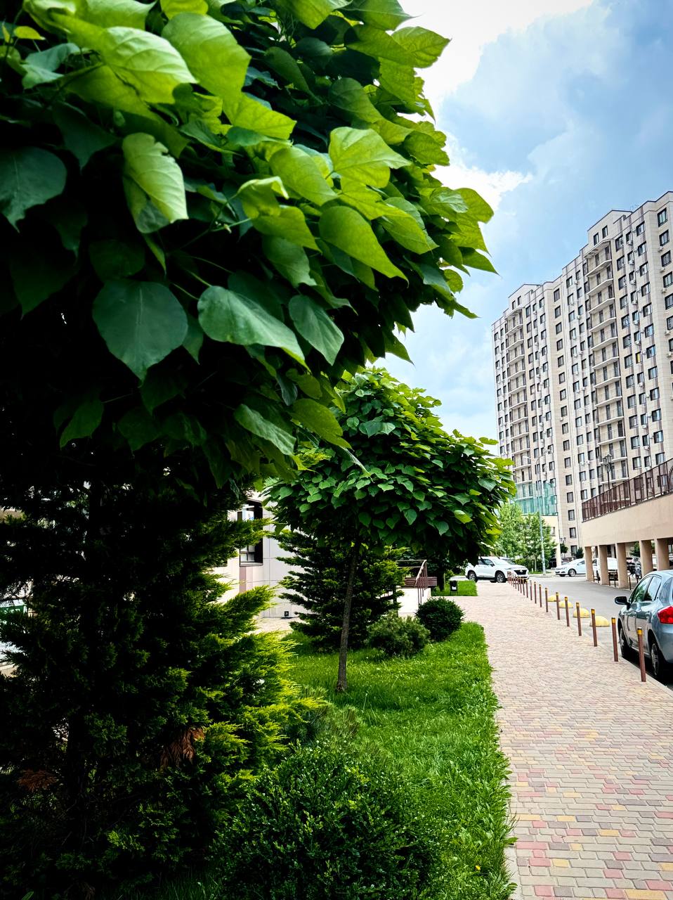 Галерея  ЖК Мега-Победа 10