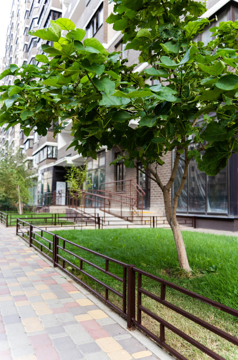 Уютный 
зеленый двор ЖК Победа