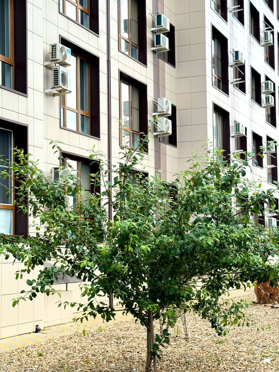 Галерея  ЖК Мега-Победа 18