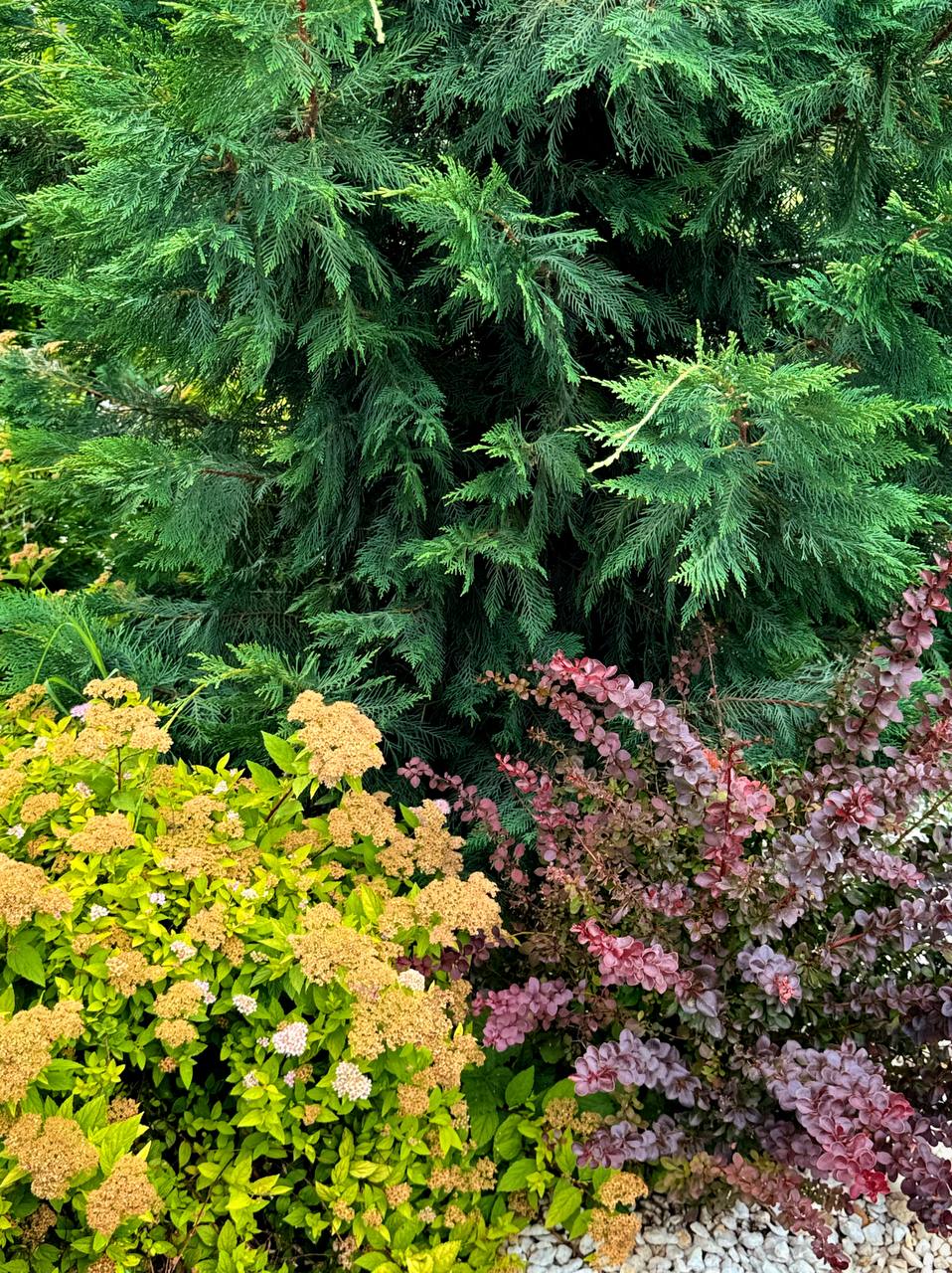 Галерея  ЖК Мега-Победа 5